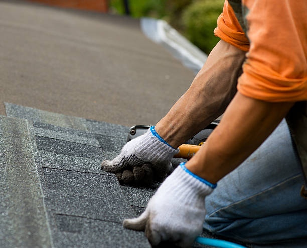 Best Gutter Installation and Roofing  in Quinlan, TX